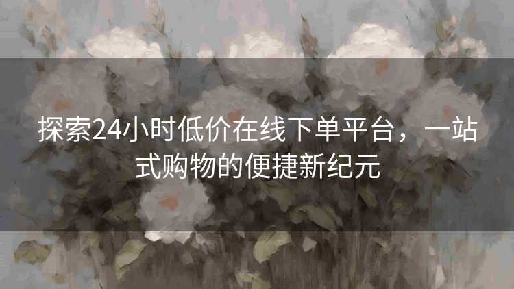探索24小时低价在线下单平台，一站式购物的便捷新纪元