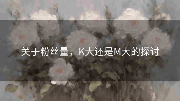 关于粉丝量，K大还是M大的探讨