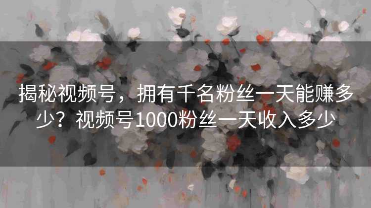 揭秘视频号，拥有千名粉丝一天能赚多少？视频号1000粉丝一天收入多少