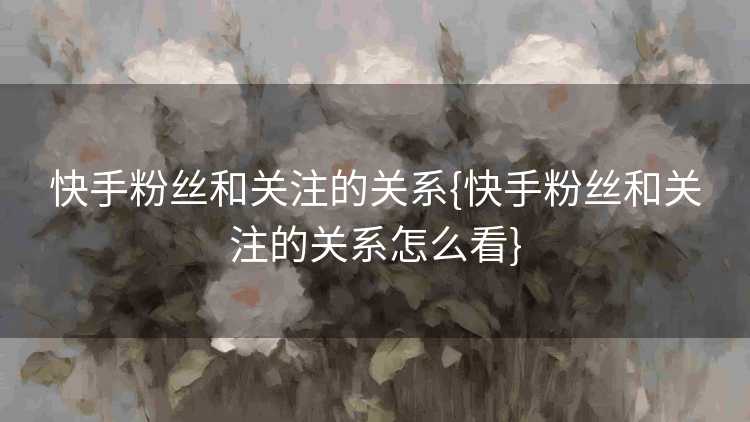 快手粉丝和关注的关系{快手粉丝和关注的关系怎么看}