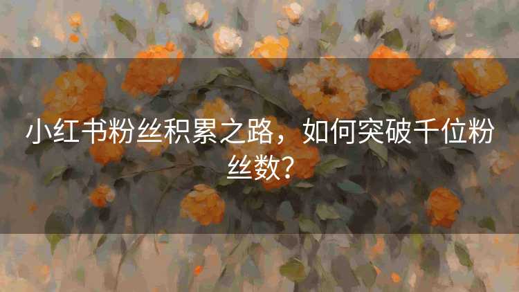 小红书粉丝积累之路，如何突破千位粉丝数？