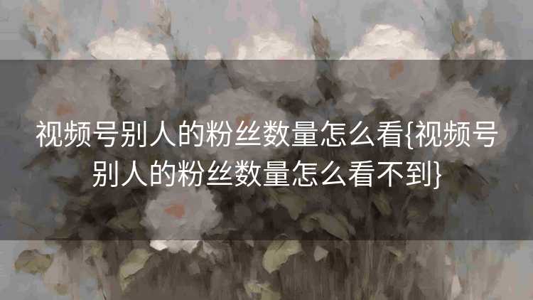 视频号别人的粉丝数量怎么看{视频号别人的粉丝数量怎么看不到}