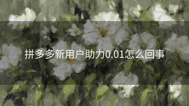 拼多多新用户助力0.01怎么回事