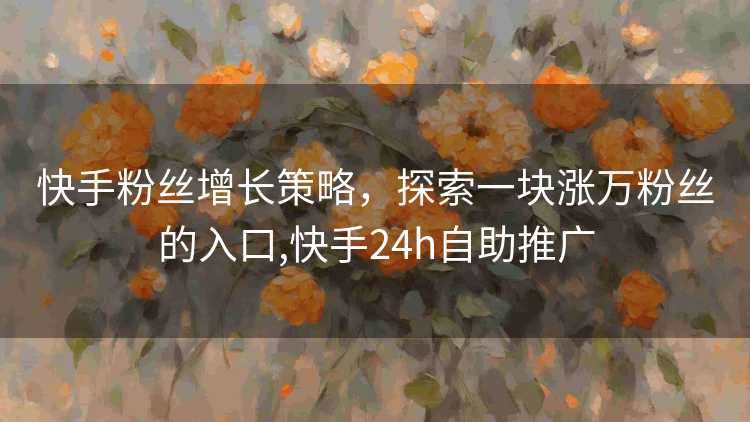 快手粉丝增长策略，探索一块涨万粉丝的入口,快手24h自助推广
