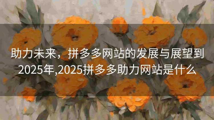 助力未来，拼多多网站的发展与展望到2025年,2025拼多多助力网站是什么