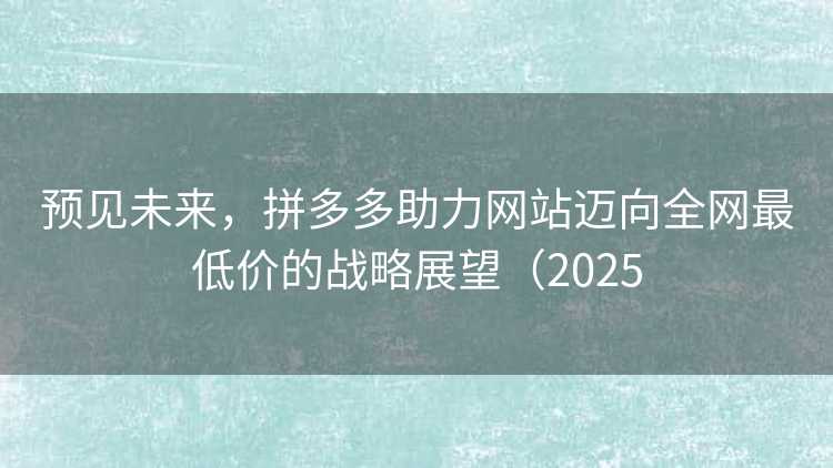 预见未来，拼多多助力网站迈向全网最低价的战略展望（2025