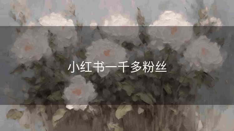 小红书一千多粉丝
