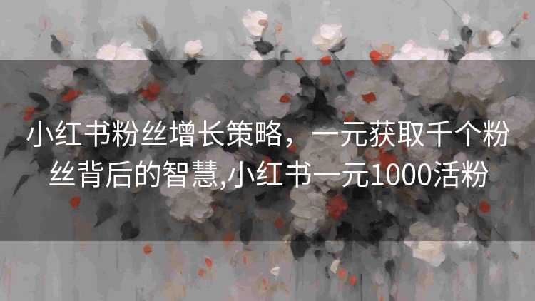 小红书粉丝增长策略，一元获取千个粉丝背后的智慧,小红书一元1000活粉