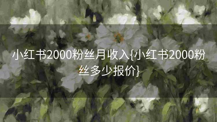 小红书2000粉丝月收入{小红书2000粉丝多少报价}