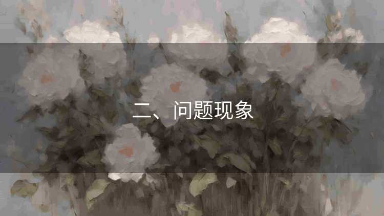二、问题现象