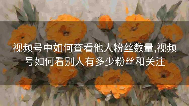 视频号中如何查看他人粉丝数量,视频号如何看别人有多少粉丝和关注