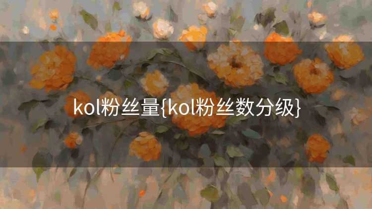 kol粉丝量{kol粉丝数分级}