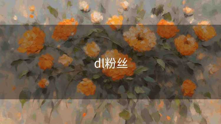 dl粉丝