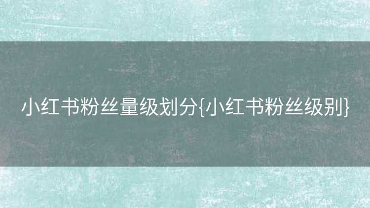 小红书粉丝量级划分{小红书粉丝级别}