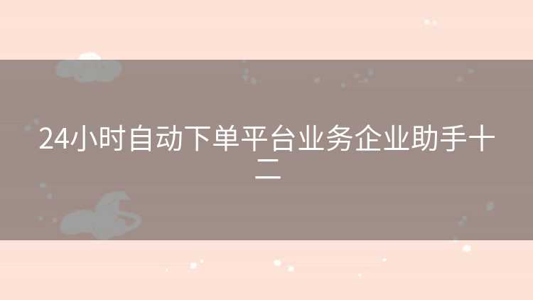 24小时自动下单平台业务企业助手十二