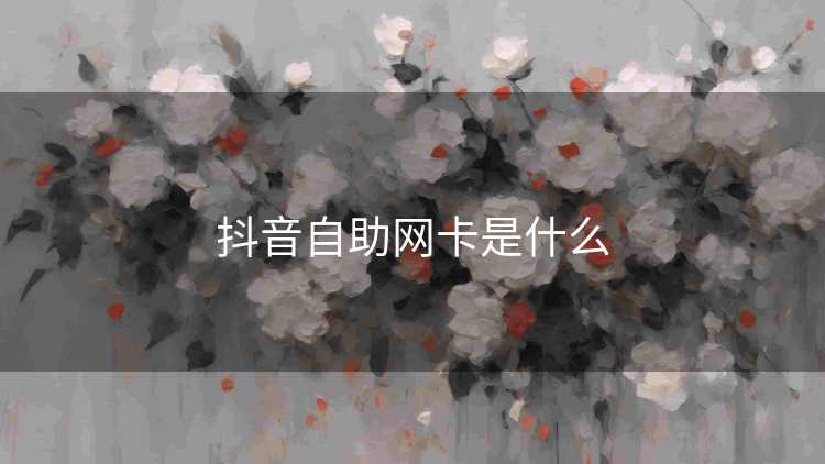 抖音自助网卡是什么