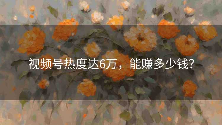 视频号热度达6万，能赚多少钱？