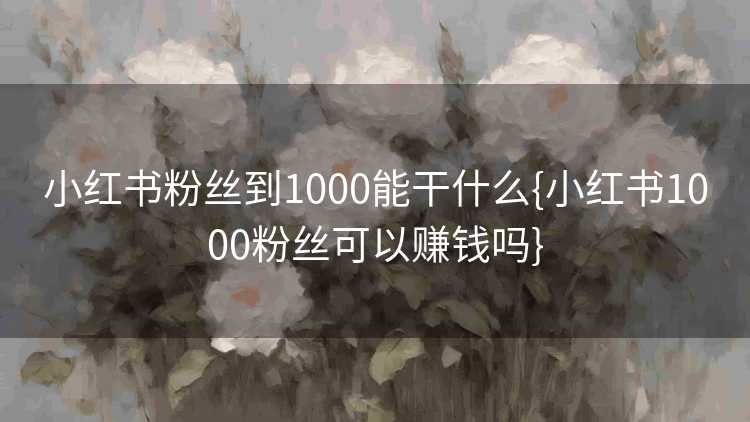 小红书粉丝到1000能干什么{小红书1000粉丝可以赚钱吗}