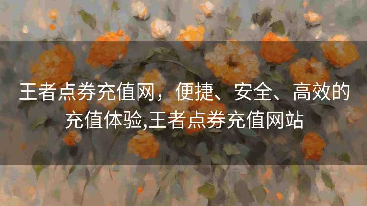 王者点券充值网，便捷、安全、高效的充值体验,王者点券充值网站