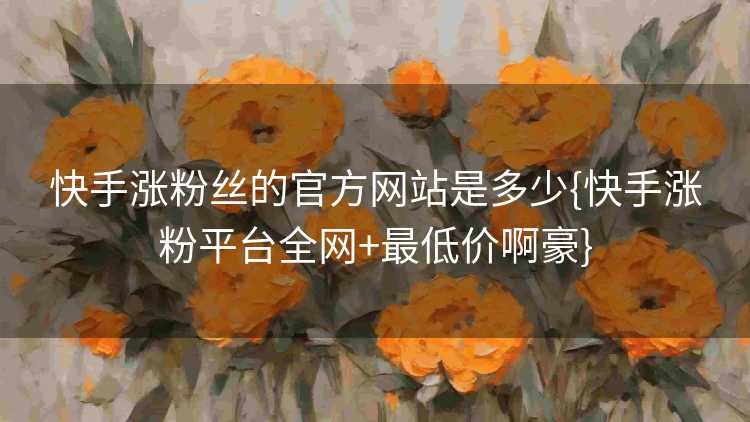 快手涨粉丝的官方网站是多少{快手涨粉平台全网+最低价啊豪}