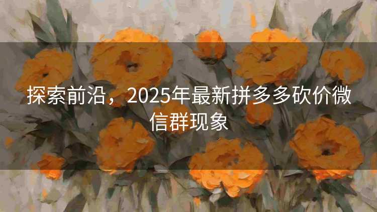 探索前沿，2025年最新拼多多砍价微信群现象