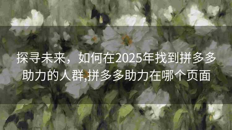 探寻未来，如何在2025年找到拼多多助力的人群,拼多多助力在哪个页面