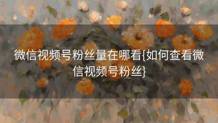 微信视频号粉丝量在哪看{如何查看微信视频号粉丝}