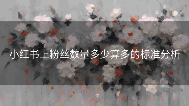 小红书上粉丝数量多少算多的标准分析