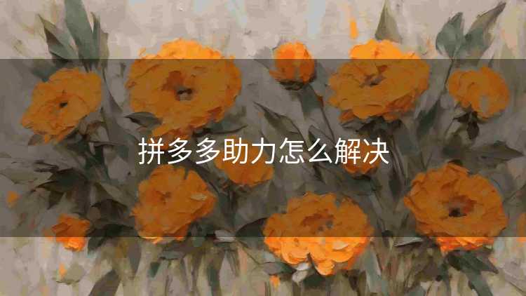 拼多多助力怎么解决