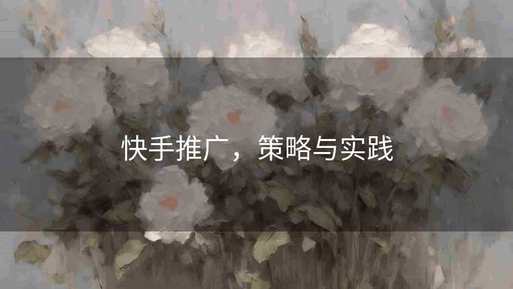 快手推广，策略与实践