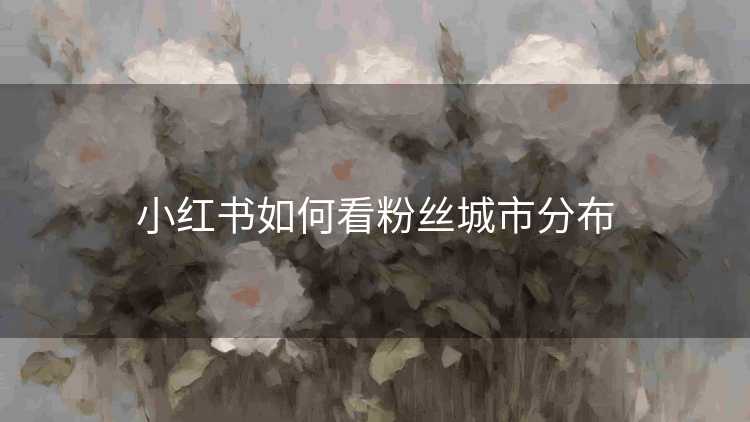 小红书如何看粉丝城市分布