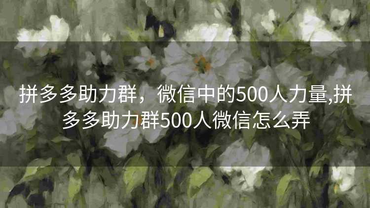拼多多助力群，微信中的500人力量,拼多多助力群500人微信怎么弄