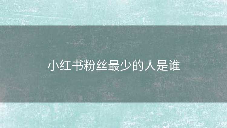 小红书粉丝最少的人是谁
