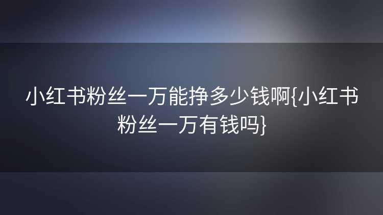 小红书粉丝一万能挣多少钱啊{小红书粉丝一万有钱吗}